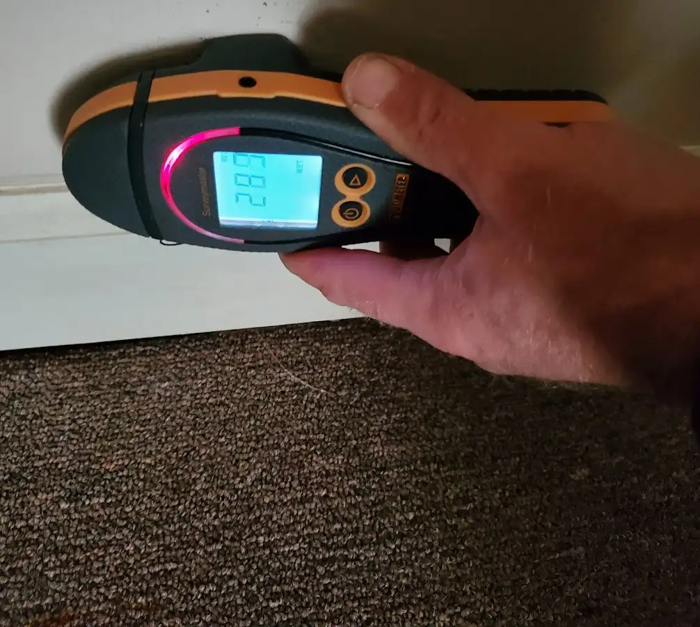 Moisture detection at baseboard during Sewage Cleanup & Sanitation in North Fond du Lac